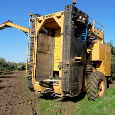 Super-intensive Olive Harvester VS+