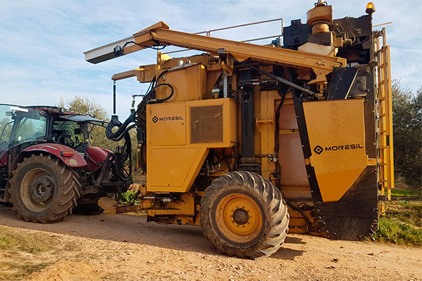 High Density Olive Harvester VS+